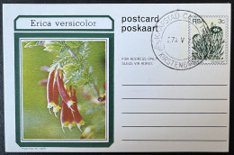 SP CARTE / RSA ERICA VERSICOLOR / 1977 / FLEUR - Brieven En Documenten