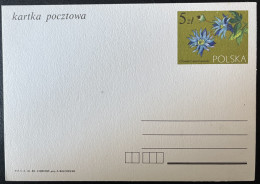 SP CARTE / POLOGNE POLSKA / 1993 FLEUR FLOWER - Lettres & Documents