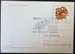 SP CARTE / POLOGNE POLSKA / 1972 FLEUR FLOWER / CHORZOW - Lettres & Documents