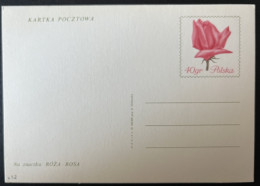 SP CARTE / POLOGNE POLSKA / FLEUR FLOWER ROSE - Covers & Documents