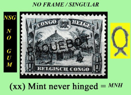 1931 ** CONGO BELGE / BELGIAN CONGO COB 171 PAQUEBOT ETHNIC +  (SINGULAR ) ( X 1 Stamp MNH NSG) NO GUM + NO FRAME - Ungebraucht