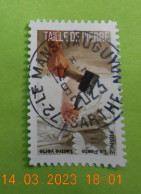 FRANCE 2023    DU  CARNET   METIERS  D'EXCELLENCE  TAILLE  DE  PIERRE    BEAU   CACHET  ROND ( A Voyagé ) - Used Stamps