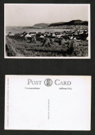 CANADA  REAL PHOTO---1920's UNUSED POSTCARD Of RIVIERE Au RENARD (PC-184) - Québec - Les Rivières