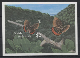 British Virgin Islands - 1991 Butterflies Block (1) MNH__(TH-22284) - British Virgin Islands