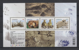 Canada - 2011 Young Animals Block MNH__(TH-17061) - Blocs-feuillets