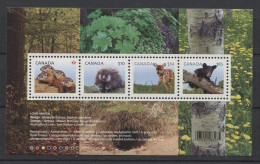 Canada - 2013 Young Animals Block MNH__(TH-16373) - Hojas Bloque