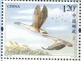 CHINA, 2018, MNH, BIRDS, GEESE, 1v - Ganzen