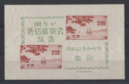 Japan - 1948 Stamp Exhibition Tokyo Block__(TH-3519) - Blocks & Sheetlets