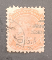 SOUTH AUSTRALIA 1876 QUEEN VICTORIA CAT GIBBONS N 173 PERF 10 - Oblitérés