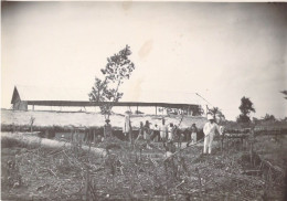 Photographie Originale - Congo Belge - Briqueterie C. Lommen - Un Séchoir - Afrique