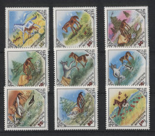 Mongolia - 1983 The Foal And The Hare MNH__(TH-21901) - Mongolie