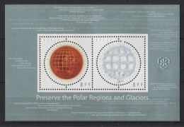 Norway - 2009 Protect The Polar Regions And Glaciers Block MNH__(TH-22699) - Blokken & Velletjes