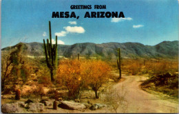 Greetings From Mesa Arizona Showing Desert Roadway With Saguara Cactus And Sagebrush - Souvenir De...