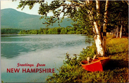 Greetings From New Hampshire - Souvenir De...
