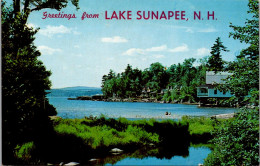 Greetings From Lake Sunapee New Hampshire - Souvenir De...