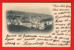 NOGU-38   Le Locle Vue Générale Dos Simple. Circulé 1900 Vers Schwyz - Le Locle