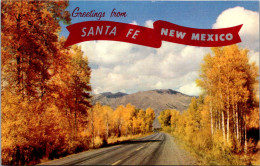 Greetings From Santa Fe New Mexico - Souvenir De...
