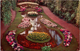 Missouri St Louis Forest Park The Jewel Box Floral Display - St Louis – Missouri