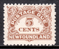 Newfoundland - Scott #J5 - MLH - Very Minor Gum Bump - SCV $15 - Fine Di Catalogo (Back Of Book)