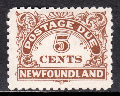 Newfoundland - Scott #J5 - MNH - Gum Bump, Pencil/rev. - SCV $22 - Fin De Catalogue (Back Of Book)