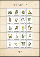 Autriche** - Herbier / Herbarium - Plantes Toxiques