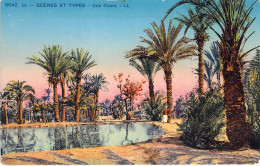 ALGERIE - SCENES ET TYPES - Une Oasis - Carte Postale Ancienne - Scènes & Types