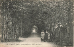 Aubigny * Les Grands Jardins * Allée Des Soupirs * Villageois - Other & Unclassified