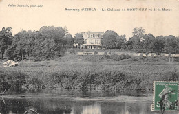 Montigny Sur Loing           77           Le Château               (voir Scan) - Autres & Non Classés