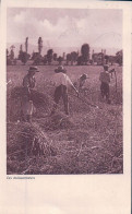 Genève Meyrin, Campagne Romande, Les Moissonneurs (15.5.1920) - Meyrin