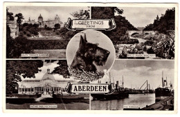 Aberdeen - Aberdeenshire