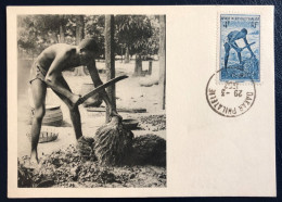 A.O.F - Carte Maximum - N°36 - (B4677) - Storia Postale