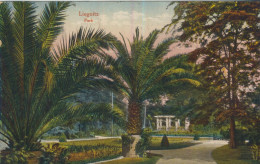 Liegnitz - Park - Von 1922 (59557) - Schlesien