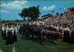 MILIS ( ORISTANO ) CAVALCATA SARDA / COSTUMI - SPEDITA 1963 (15003) - Oristano