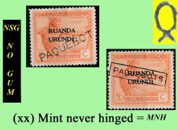 1925 ** RUANDA-URUNDI RU/MNH RU 067 PAQUEBOT ( SINGULAR+PLURAL) VLOORS 2 [B] ( X 2 Stamps ) NO GUM + ONLY 1 WITH A FRAME - Unused Stamps