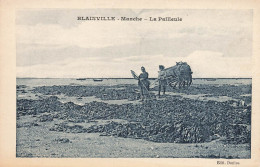 Blainville * La Pailleule * Pêche à Pied * Attelage Goémoniers ? - Blainville Sur Mer