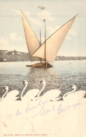 TRANSPORTS - Bateau - Voilier - Lac - Cygnes - Editeur : Comptoir De Phototypie - Carte Postale Ancienne - Veleros