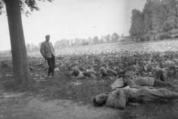 Photo Grande Guerre Format 13/18 Tirage Contemporain Argentique ,soldats Au Repos Dans La Campagne - Guerra, Militari