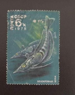 SD)1978, RUSSIA, WHITE BLOODFISH, DRACO OR ICE FISH, CHANNICHTHYIDAE, MNH - Autres & Non Classés