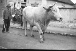 Photo Grande Guerre Format 13/18 Tirage Contemporain Argentique ,scène De La Vie Militaire à La Ferme.. - Guerra, Militari