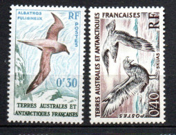 Col34 Terres Australes Antartiques  N° 12 & 13 Neuf X MH Cote : 2,00€ - Unused Stamps