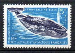 Col34 TAAF Terres Australes Antartiques  N° 22 Neuf X MH Cote : 31,00€ - Unused Stamps