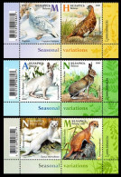 2020 Belarus 1343-1348Paar+Tab Fauna 13,50 € - Spechten En Klimvogels