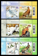 2020 Belarus 1343-1348Paar+Tab Fauna 13,50 € - Spechten En Klimvogels