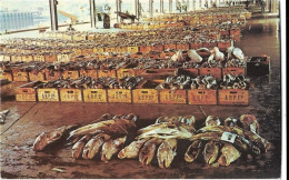 Royaume Uni  -  Aberdeen  Fish Market - Aberdeenshire