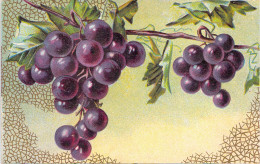 Deux Grappes De Raisins Noires Sur La Vigne - Carte Postale Ancienne - Sonstige & Ohne Zuordnung