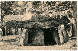METTRAY - Dolmen , La Grotte Aux Fées - Mettray