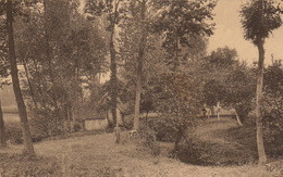 Tourneppe Landelijk Hoekje - Beersel