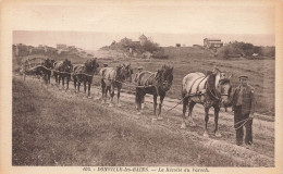 Donville Les Bains * La Récolte Du Varech * Goémoniers Attelage Chevaux - Other & Unclassified