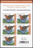 B181/C181**(5147) Bécasseau Maubèche/Knoetstrandloper/Knot/Knutt/Calidris Canutus - BUZIN - RECOMMANDÉ / AANGETEKEND - Unused Stamps