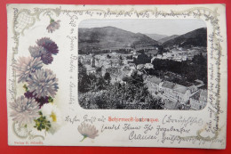 Carte Photo Fantaisie 67 SCHIRMECK LABROQUE  Precurseur 1901 - La Broque